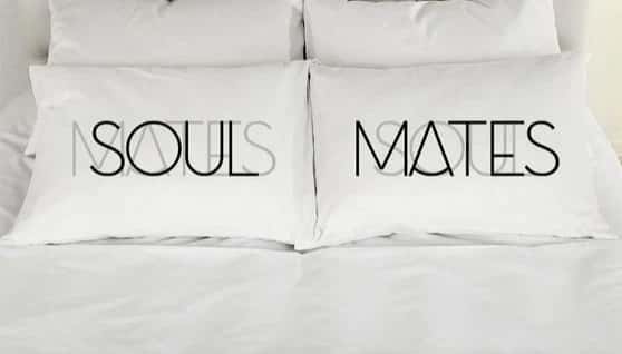 2 PCs Digital Printed Couple Pillow-SOUL/MATES