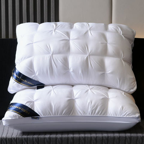 Pack of 2 Filled Pintucks Decorative Pillows- White